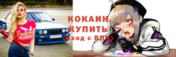 стафф Бородино