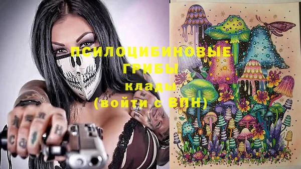 а пвп мука Верея
