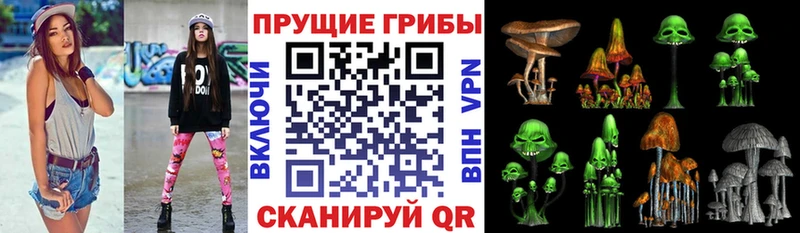 Купить  Новомичуринск  Галлюциногенные грибы Cubensis 
